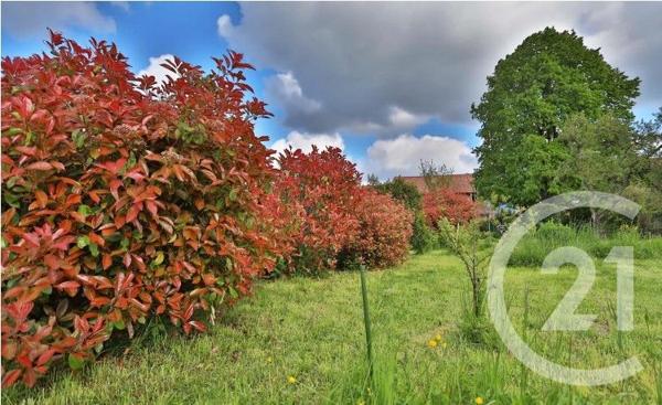 Terrain à vendre  872 m2 FEIGERES - 74