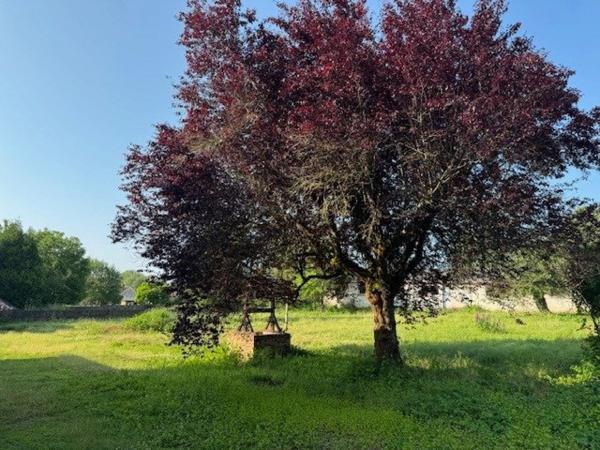 Maison de charme aux volumes impressionnants