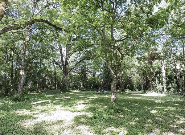 Vente                                                      Maison
                        
                                         400 m2                     à Chartres