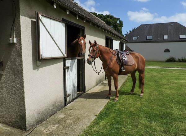 Vente                                                      Maison
                        
                                         400 m2                     à Chartres