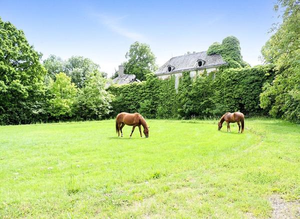 Vente                                                      Maison
                        
                                         400 m2                     à Chartres
