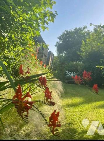 Idéalement située en plein centre-ville de Nogent-le-Rotrou (28400), à deux pas du Château Sain...
