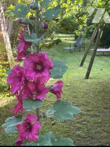 Idéalement située en plein centre-ville de Nogent-le-Rotrou (28400), à deux pas du Château Sain...