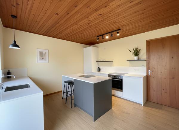 Ferme avec dépendances et grand terrain à Longages