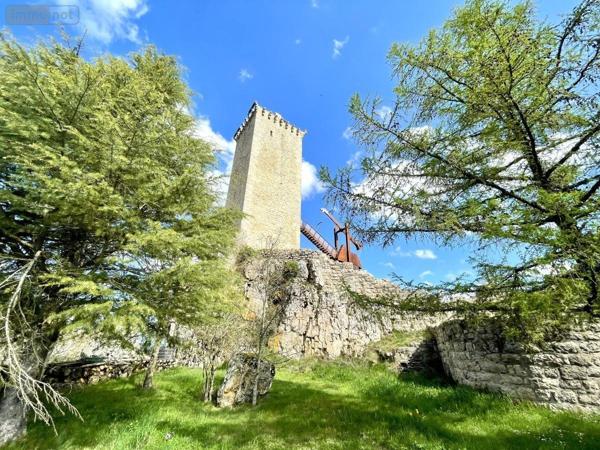 Maison à vendre à Prunières en Lozère (48200), ref : 48032-162