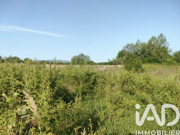 Terrain à vendre 12 880 m² Saint-Maximin-la-Sainte-Baume