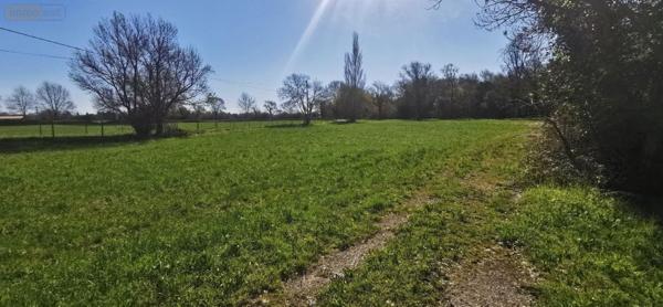 Propriete à vendre à Saint-Martin-de-Crau dans les Bouches-du-Rhône (13310), ref : 075/167   
Craulonguette