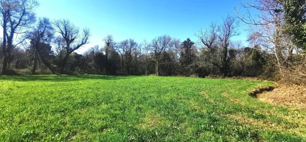 Propriete à vendre à Saint-Martin-de-Crau dans les Bouches-du-Rhône (13310), ref : 075/167   
Craulonguette