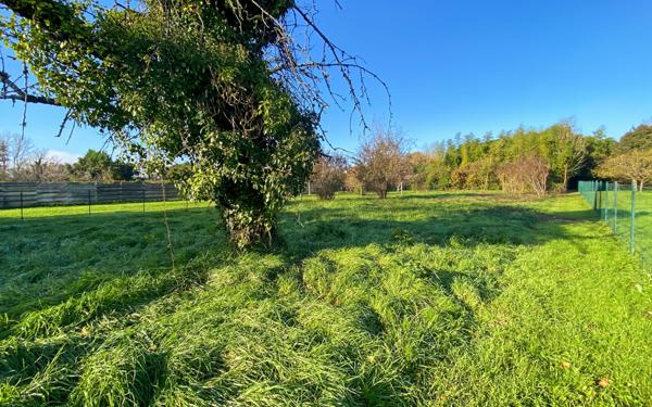 Maison à vendre    6 pièces •  Montauban