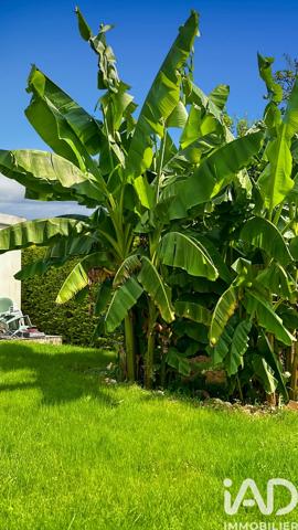 Maison à vendre 8 pièces 279,5 m² Santeny