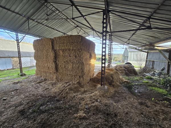 Immobilier Loudéac (22600) – Maison de village 107m2 – 161 000 €