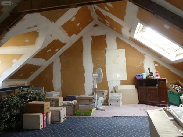 Achat - Immeuble Saint-Martin-sur-Oust 56200 165 m 2 272 m 2