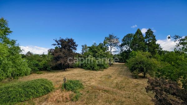 A vendre Magnifique Demeure de 11 pièces FONTAINES (71) 7 chambres garage atelier 6000 m² de terrain !