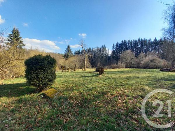 Maison à vendre  9 pièces - 243 m2 TAINTRUX - 88