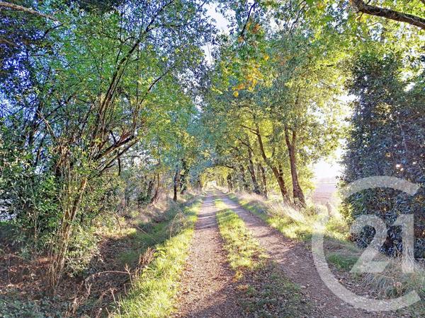 Maison à vendre  6 pièces - 150 m2 LAVAUR - 81