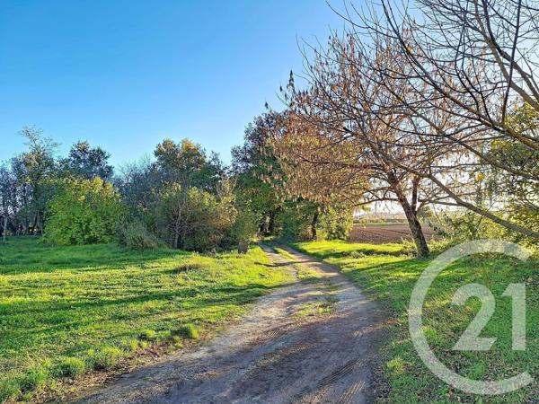 Maison à vendre  6 pièces - 150 m2 LAVAUR - 81