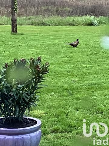 Grange 5 pièces de 142 m² à Cormery (37320)