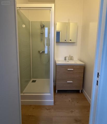 Appartement à louer à Lille dans le Nord (59800), ref : 59007-L89