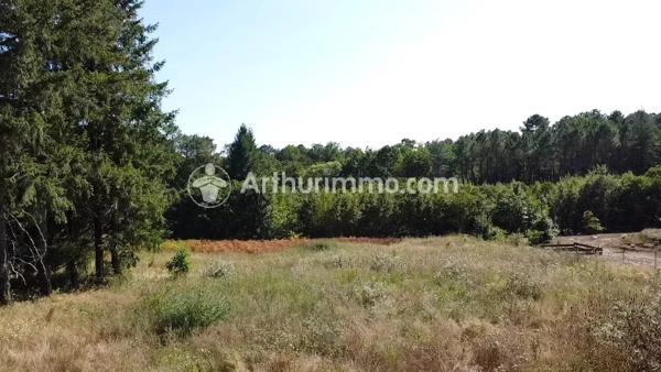 Vente Terrain 7900 m2 à Neuvic