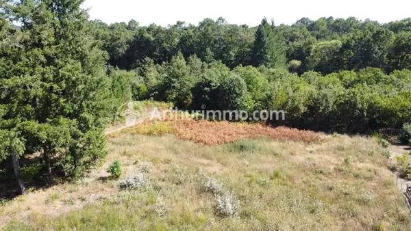 Vente Terrain 7900 m2 à Neuvic