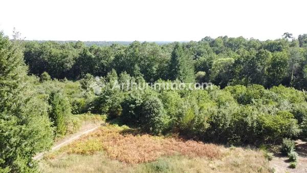 Vente Terrain 7900 m2 à Neuvic