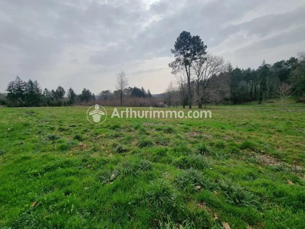 Vente                                                      Terrain
                        
                                         7785 m2                     à Neuvic