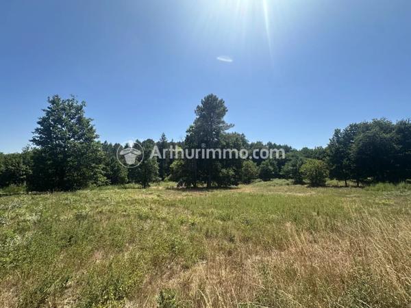 Vente                                                      Terrain
                        
                                         7785 m2                     à Neuvic