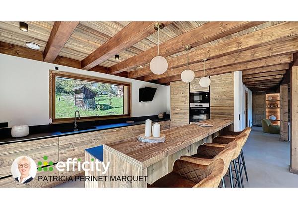 Maison 8 pièces - 225 m² Bien prestige