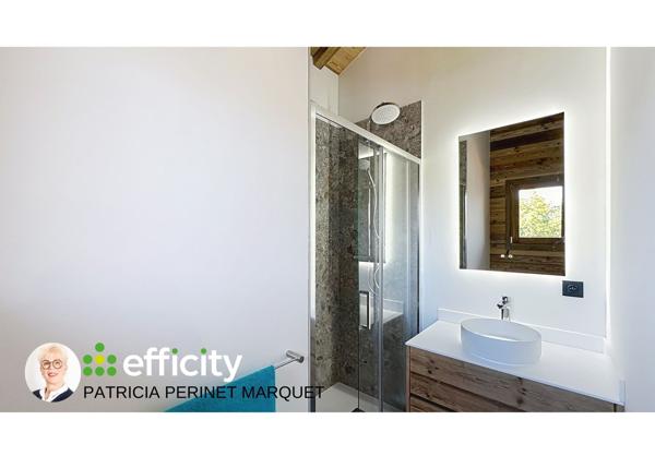 Maison 8 pièces - 225 m² Bien prestige