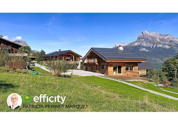 Maison 8 pièces - 225 m² Bien prestige