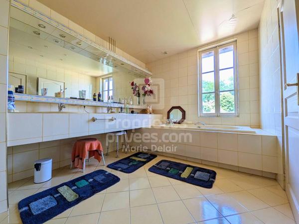 Maison La Charite Sur Loire 14 pièce(s) 445.88 m2