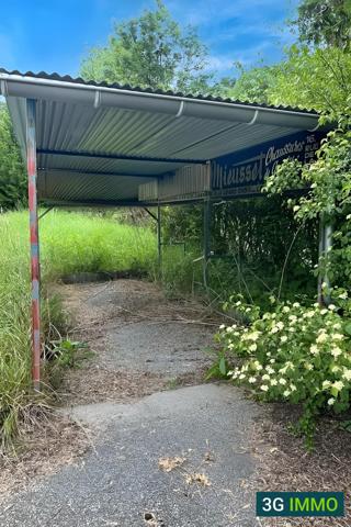 Vente / Maison ancienne