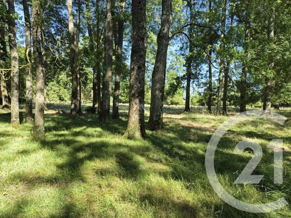 Maison à vendre  10 pièces - 300 m 2   BERNAY  - 27