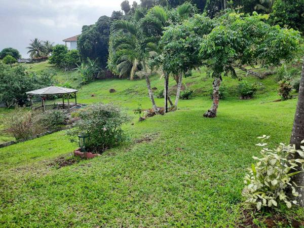 Vente / Maison et grand terrain