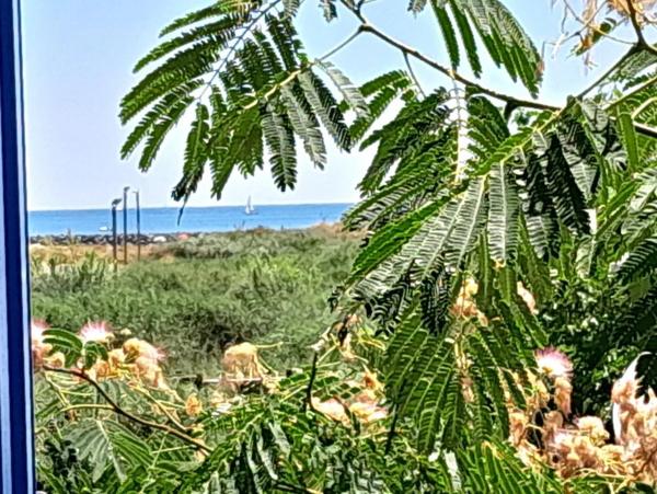 Appartement à vendre à Agde (34300)