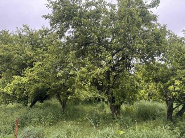 Maison ferme Villaines-la-Juhel 90 m²