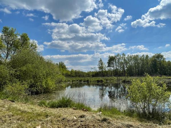 Vente Propriété de chasse de luxe Romorantin-Lanthenay 15 Pièces 530 m²
