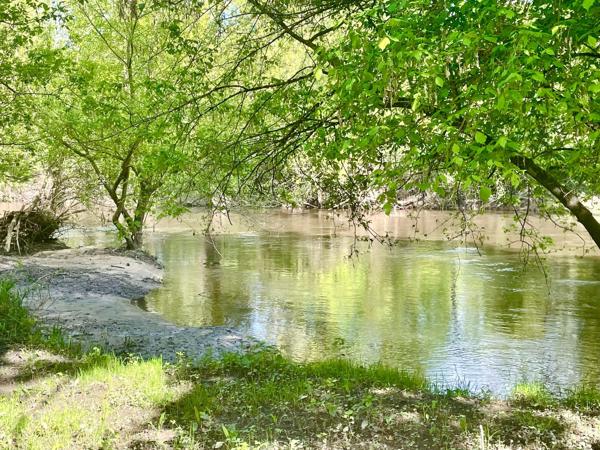 Vente Propriété de chasse de luxe Romorantin-Lanthenay 15 Pièces 530 m²