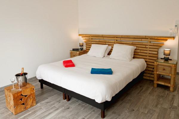 Vente Propriété de chasse de luxe Romorantin-Lanthenay 15 Pièces 530 m²
