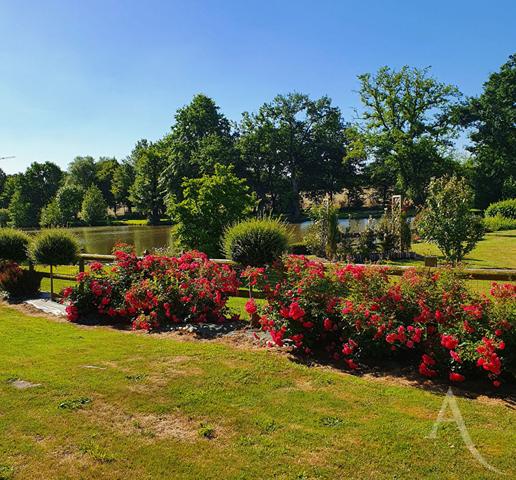 Propriété en pierre dans un environnement préservé Montaigu-Vendée