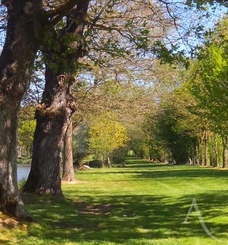 Propriété en pierre dans un environnement préservé Montaigu-Vendée
