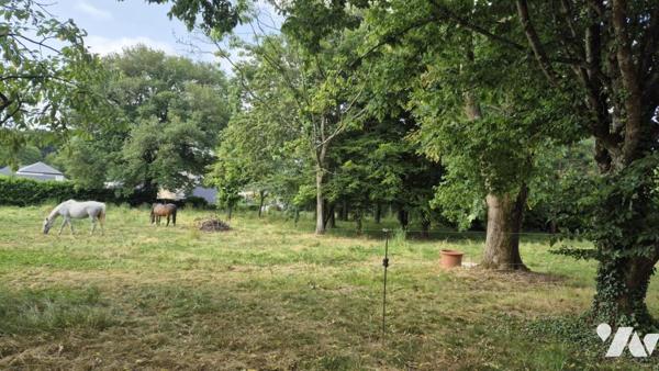 CANDÉ - MAISON SUR TERRAIN DE 5000 m² CONSTRUCTIBLES