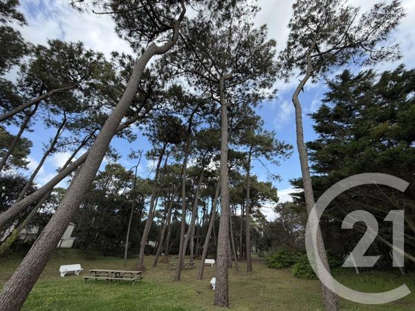 Appartement T2 à vendre  2 pièces - 26,50 m2 JARD SUR MER - 85