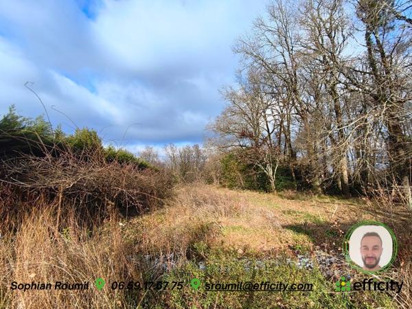 Terrain - 2003 m² Exclusivité efficity