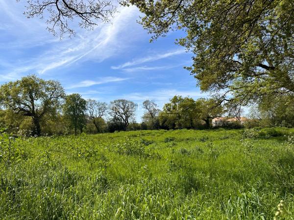 A 5 MINUTES DES PLAGES : Élégant manoir à vendre de style Anglo-normand
