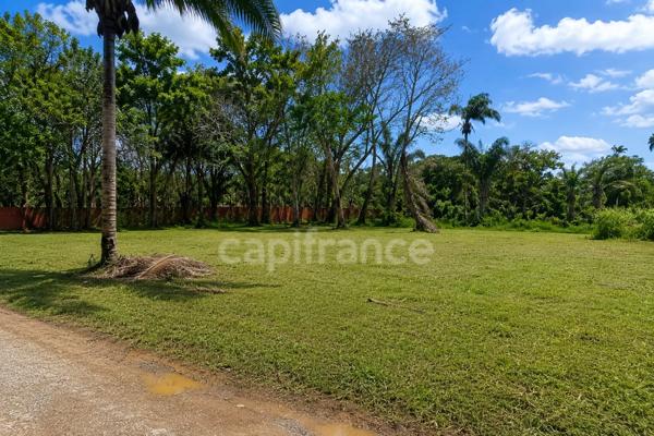 Terrain constructible de 1008 m² à vendre à Sainte Agathe - MACOURIA (973)