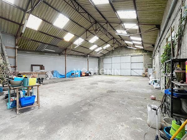 Professionnel ou artisan, Investisseur - Maison et hangar a vendre a SCAER : un potentiel a exploiter !