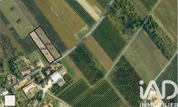 Terrain à vendre 2 156 m² Mézières-lez-Cléry