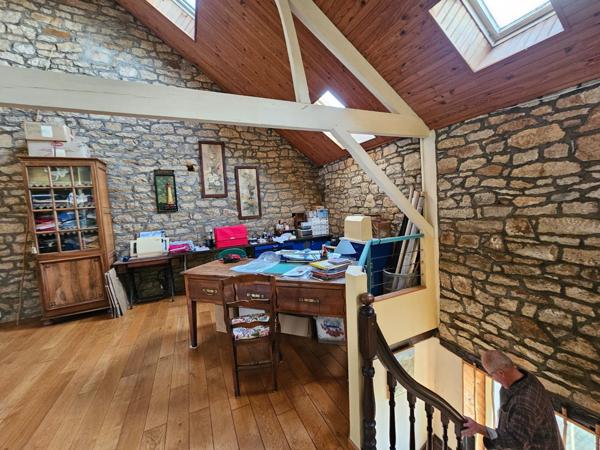 Vaste maison familiale de ville avec grand jardin