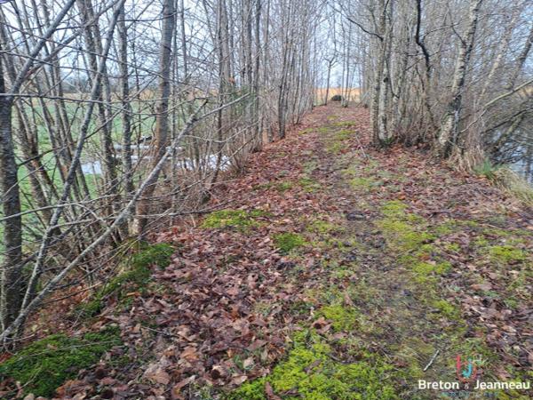 Plan d'eau de 2ha50, prairie et bois le tout sur 6ha environ à Juvigné